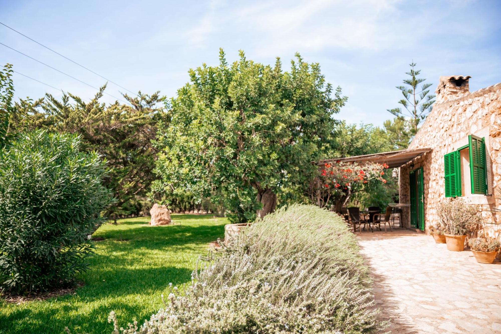 Son Barcelo Mas Farm stay Campos (Mallorca)