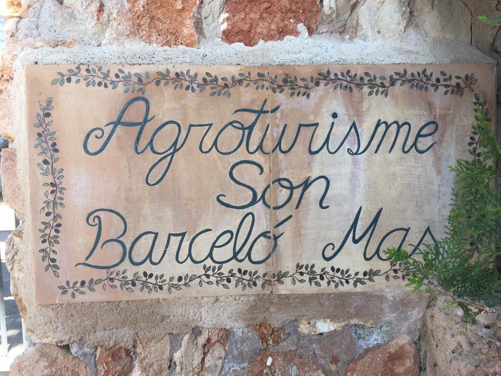 Farm stay Son Barcelo Mas *