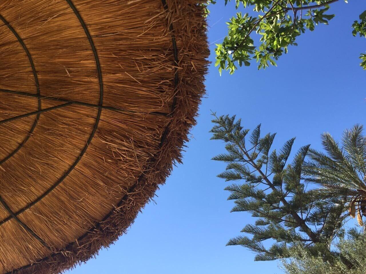 Vakantieboerderij Son Barcelo Mas *